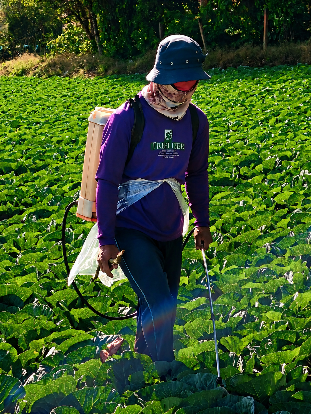 Filipino farmers in the field