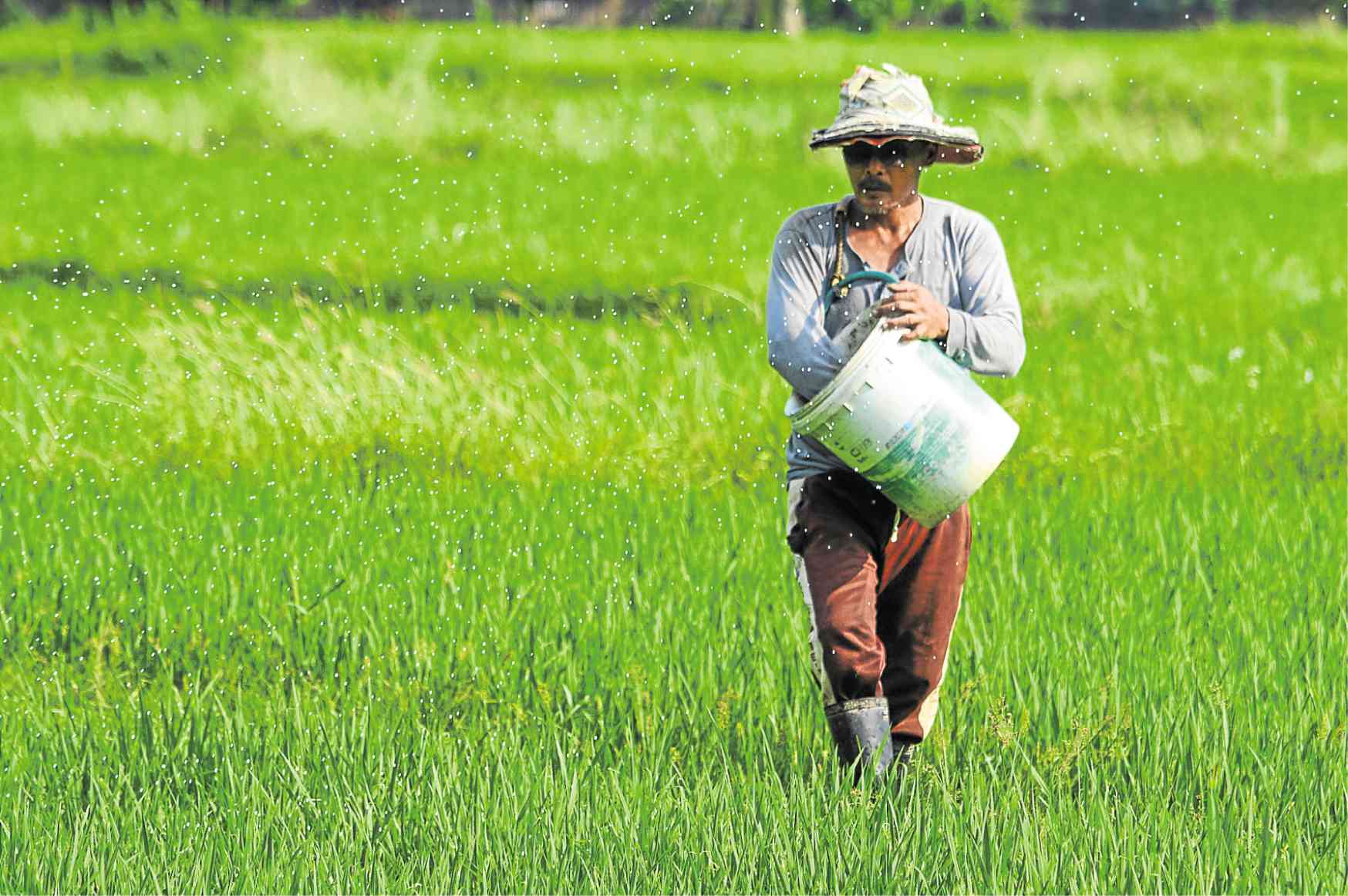 Filipino farmers in the field