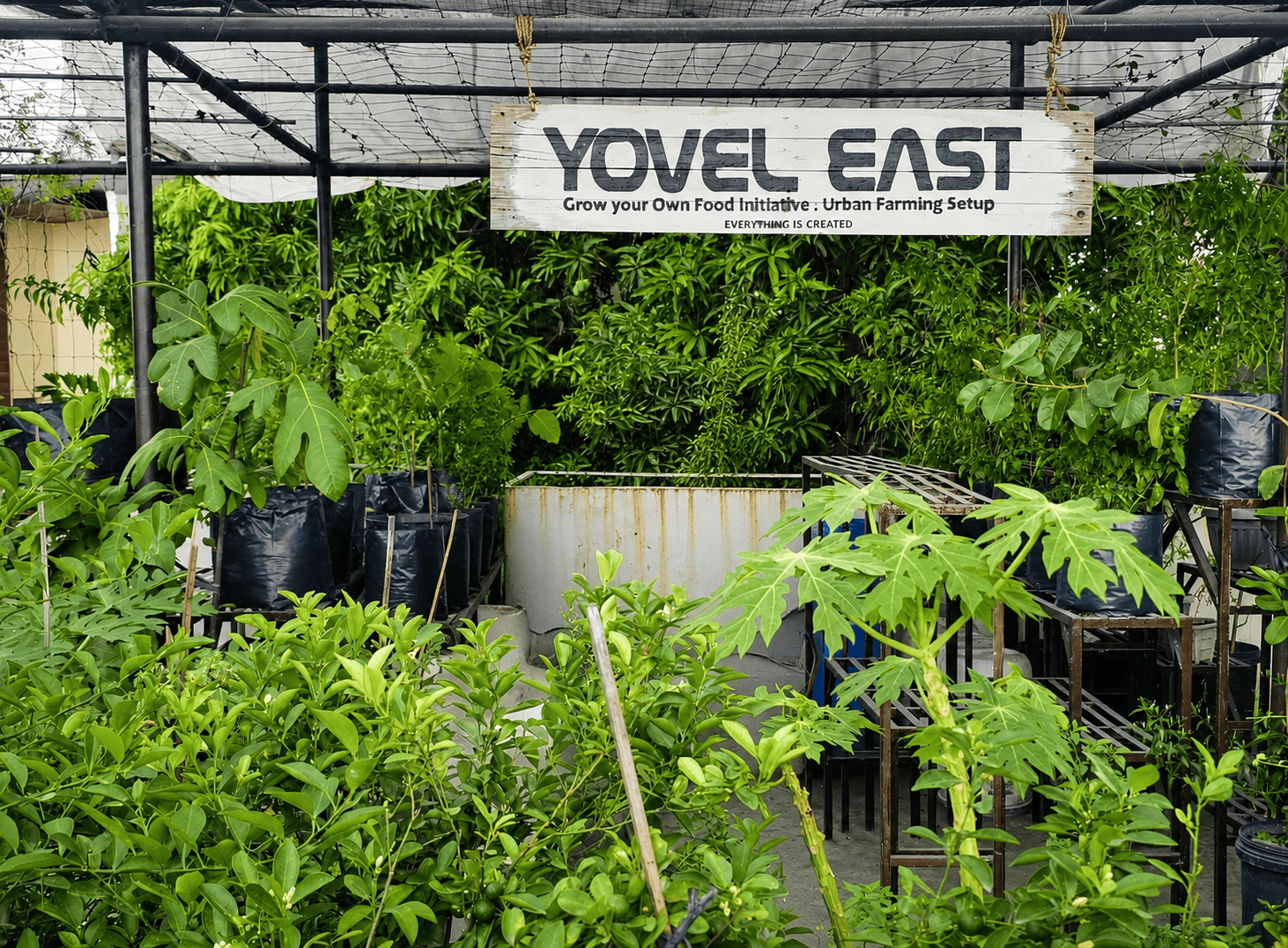 Urban Rooftop Farm in Quezon City